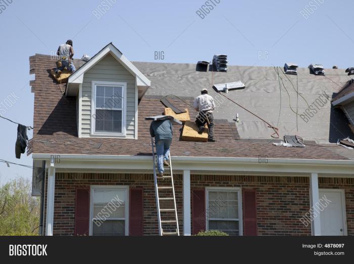 Roofing 101: A Comprehensive Guide To Roof Construction And Repairs Roofing 101: A Comprehensive Guide To Roof Construction And Repairs